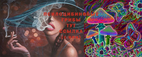 герыч Алексин