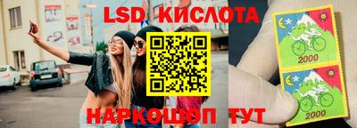 гидропоника Пенза