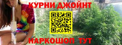 МДПВ Партизанск