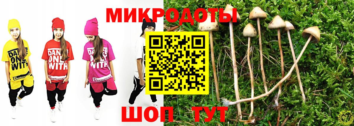 Галлюциногенные грибы MAGIC MUSHROOMS  Псилоцибиновые грибы мицелий  Петрозаводск  Вход с VPN 