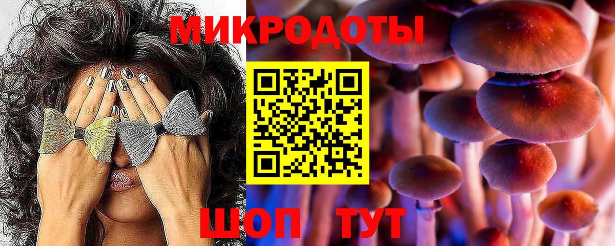 Псилоцибиновые грибы Magic Shrooms Петрозаводск